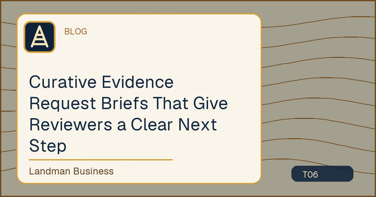 Curative Evidence Request Briefs That Give Reviewers a Clear Next Step workflow illustration